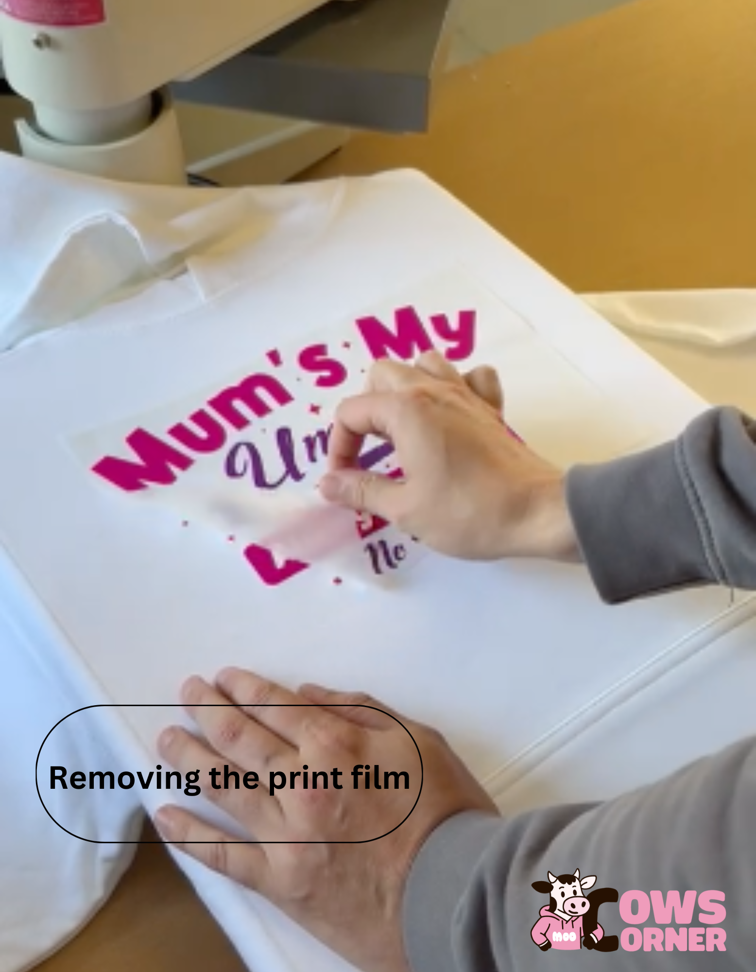 Person removing a printed film from a white shirt with text on it from Cows Corner