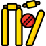 Cricket ball icon being used to highlight cricket content and products on Cows corner website